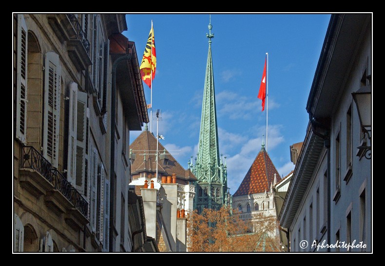 065 La cathédrale vue depuis la rue Etienne Dumont